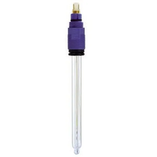 Endress + Hauser CPS21-1EA2GSA