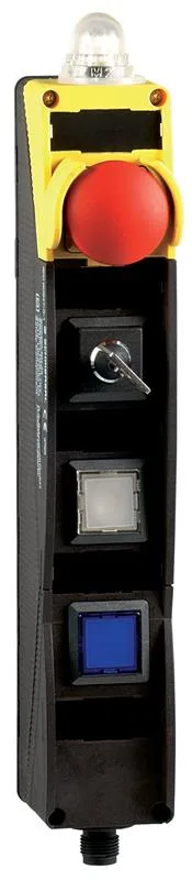 Schmersal BDF200-B-11-LMRD-LTGN-B