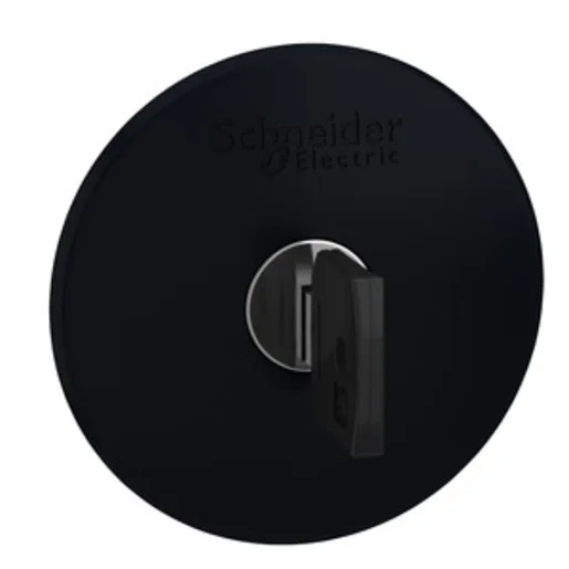 Schneider Electric ZB4BS22