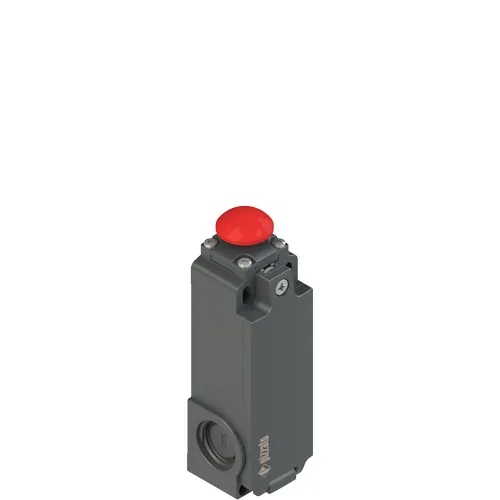 Pizzato FT 2A6314AH-E27 Safety switch with electrical reset
