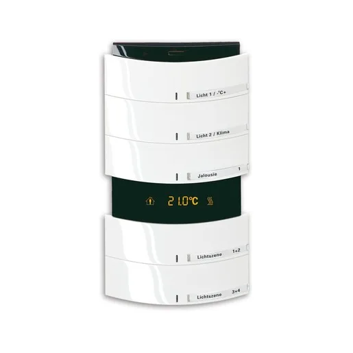 Busch-Jaeger 6321/58-24G