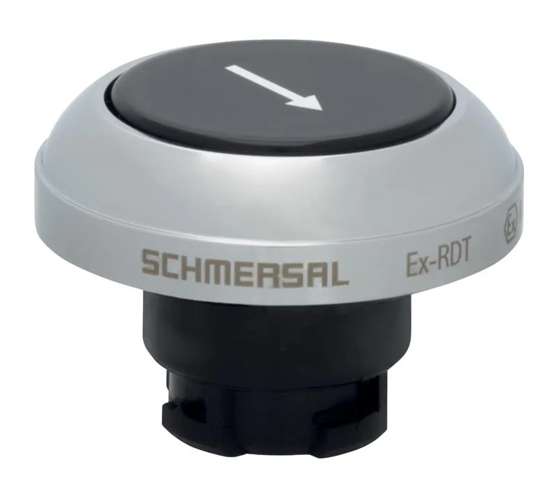 Schmersal EX-RDTSW/101D