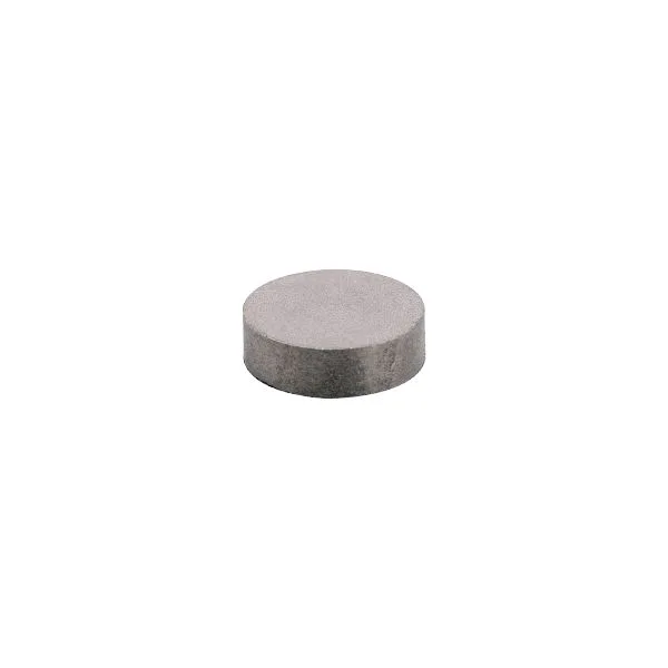 IFM MAGNET M1.0 IATA E10749 5X Mıknatıs