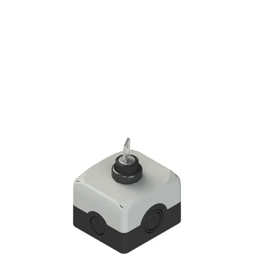 Pizzato ES AC31020 Complete unit with enclosure, Key selector and contacts