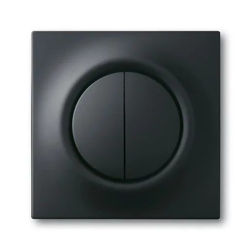 Busch-Jaeger 6545-775