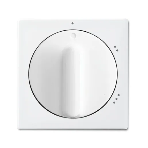 Busch-Jaeger 2542 DR/02-914