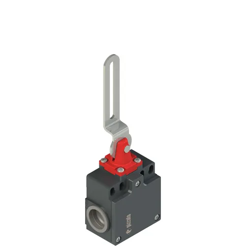 Pizzato FZ 5C2-M2 Safety switch with slotted hole lever