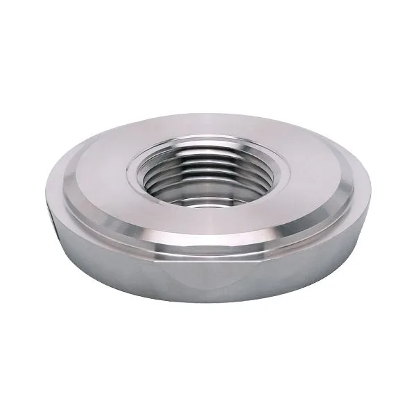 IFM ADAPT IFM-DIN11851 DN50/2" Hijyenik rakor bağlantı için proses adaptörü
