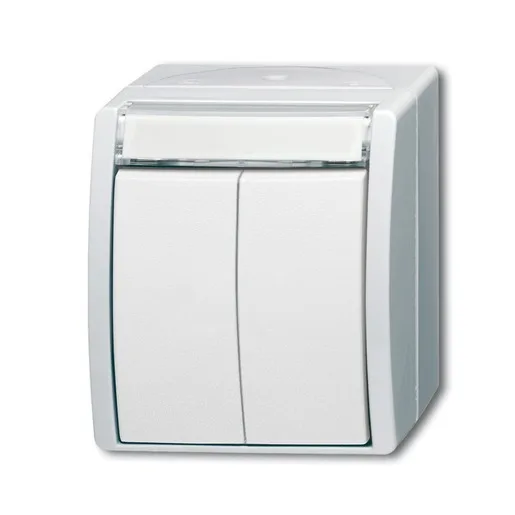 Busch-Jaeger 2621 WN-54-205-101