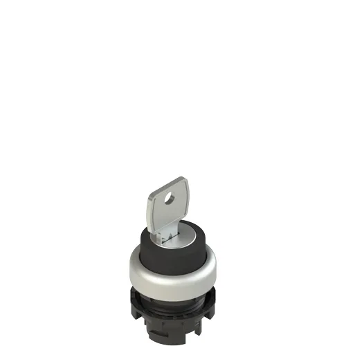 Pizzato E2 1SC2AVA19AA Key selector, 2 positions black without marking