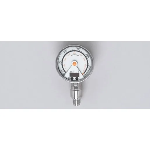 Ifm Electronic PG-250-REB12-MFRKG/US/      /P