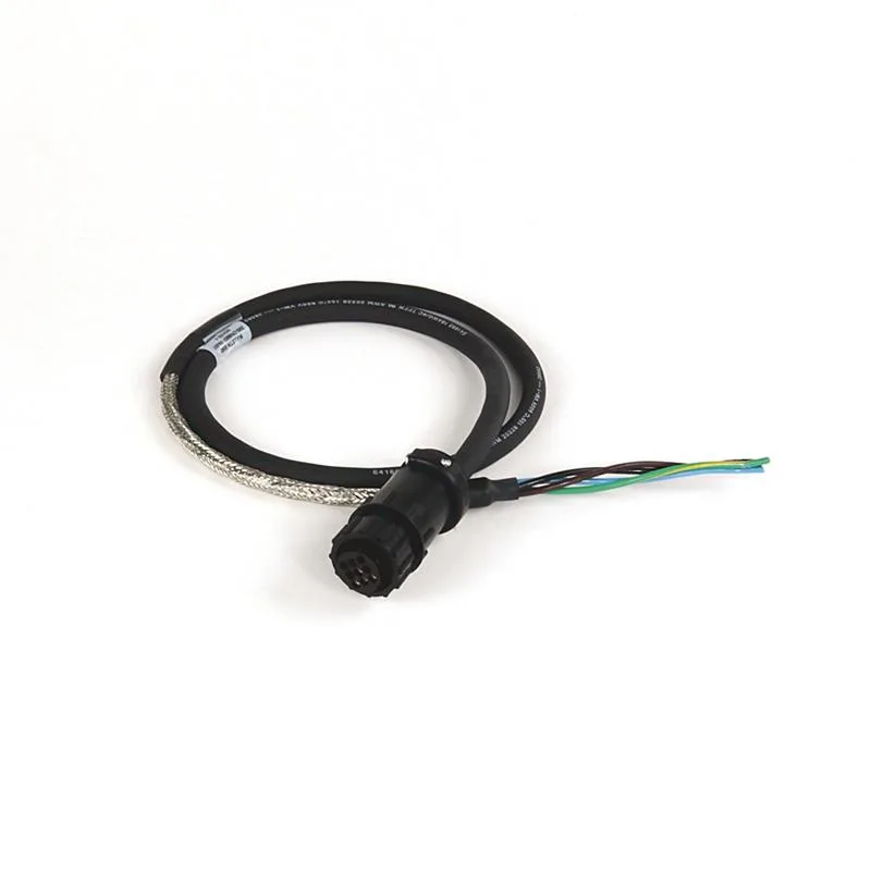 Allen Bradley 2090-CPWM6DF-16AA01 Cable