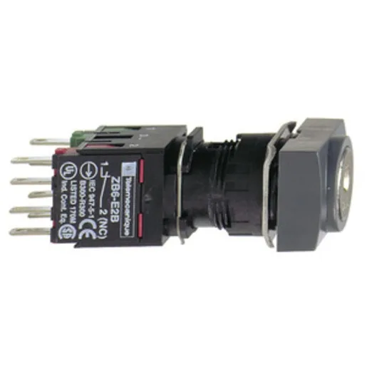Schneider Electric XB6DGC5B