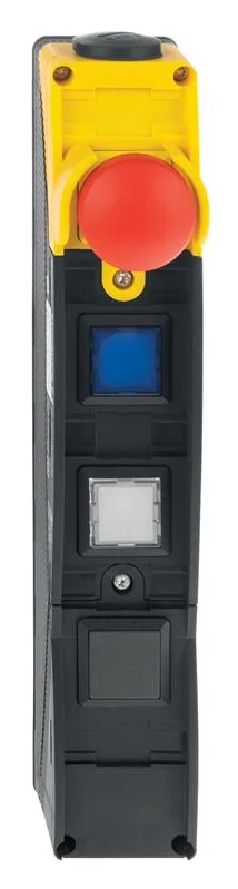 Schmersal BDF200-NHK-20-WT30-WT30-B