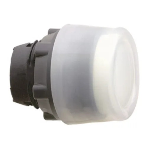 Schneider Electric ZB5AP18