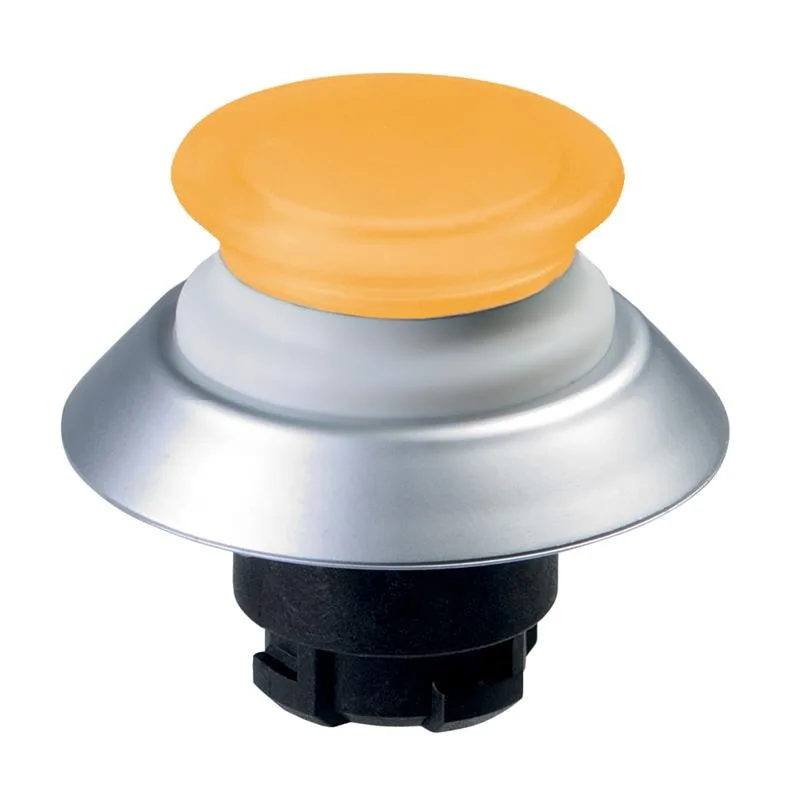 Schmersal NDLP30GB