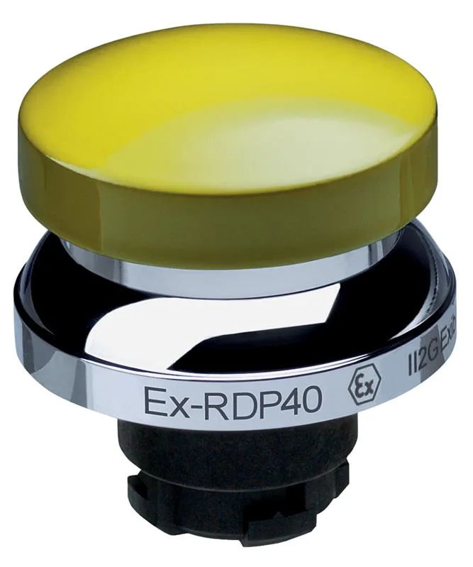 Schmersal EX-RDP40GB
