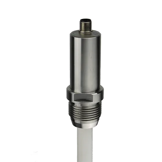 Rechner Sensors KFI-1-500-300-PEEK/VAc-D16-G1-IL4-ETW-Y10 Capacitive Level Measurement Systems (KFI / KFS / KFA / KFX)