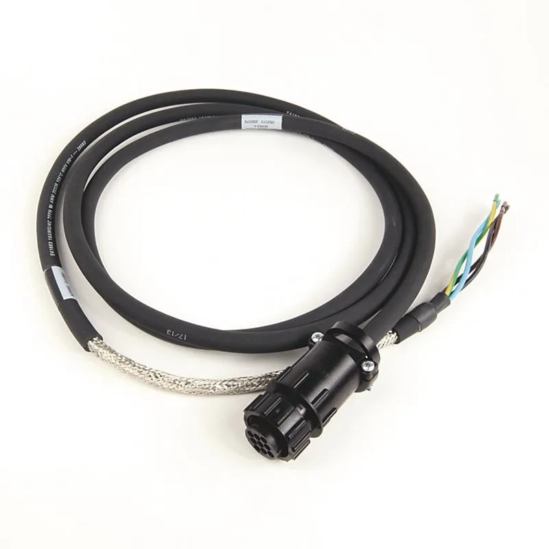 Allen Bradley 2090-CPWM6DF-16AA02 Cable