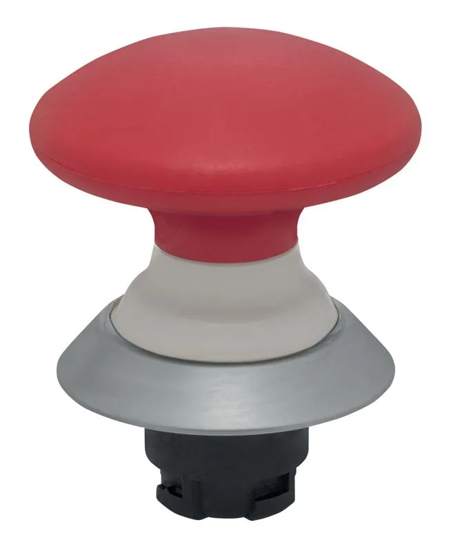 Schmersal NDRZ50RT/O.SYM.