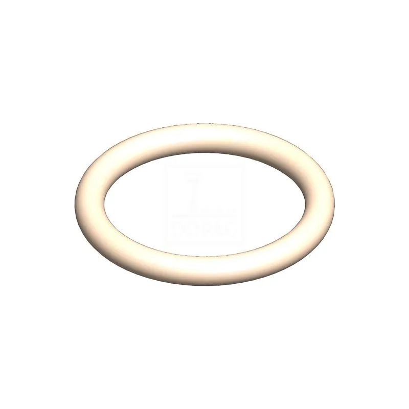 Dopag 1026371 O-ring -1786x262-PTFE