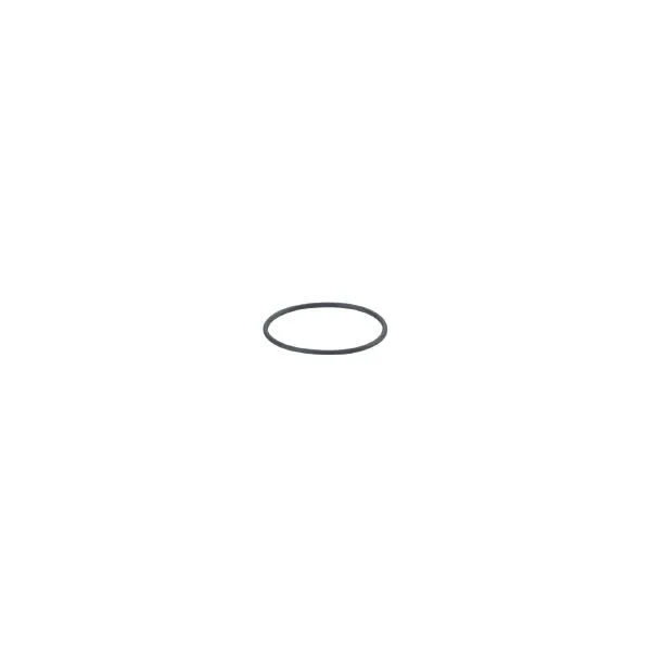 IFM O-RG 16,40x1,00/FFKM O-Ring
