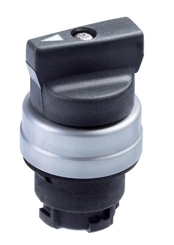 Schmersal EWTS32