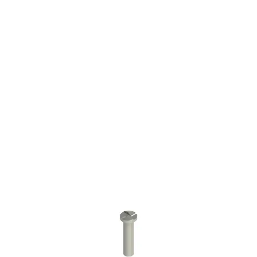 Pizzato VF VAM5X20BW-X Stainless steel security screws