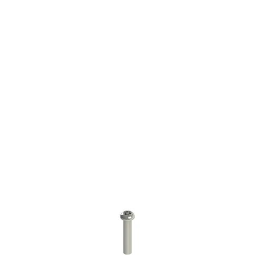 Pizzato VF VAM4X20BX-X Stainless steel security screws