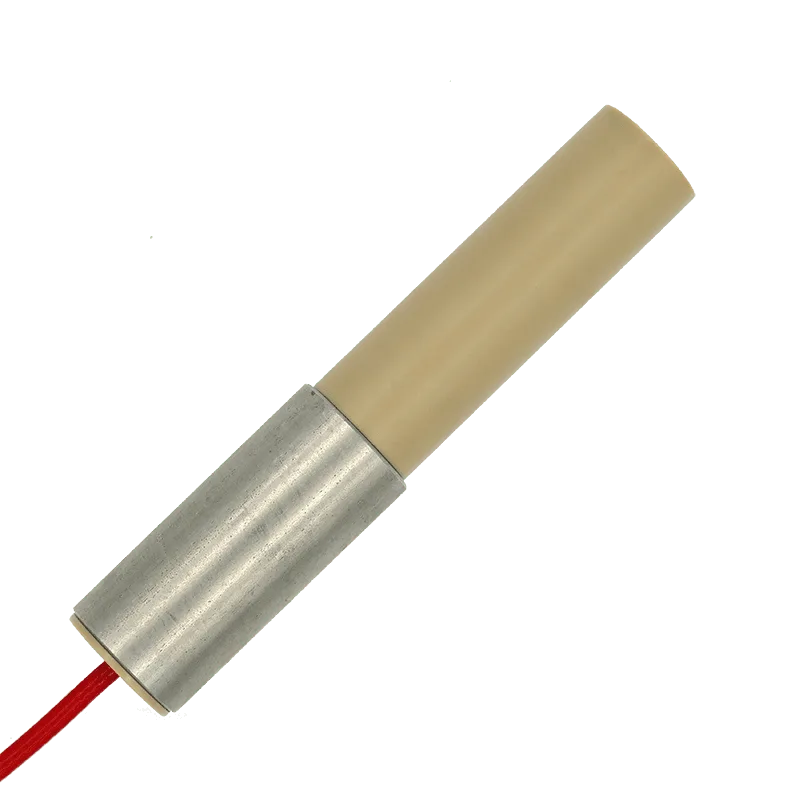 Rechner Sensors KFS-4-1-90-V10/45-Y95-PEEK/VA Capacitive Level Measurement Systems (KFI / KFS / KFA / KFX)