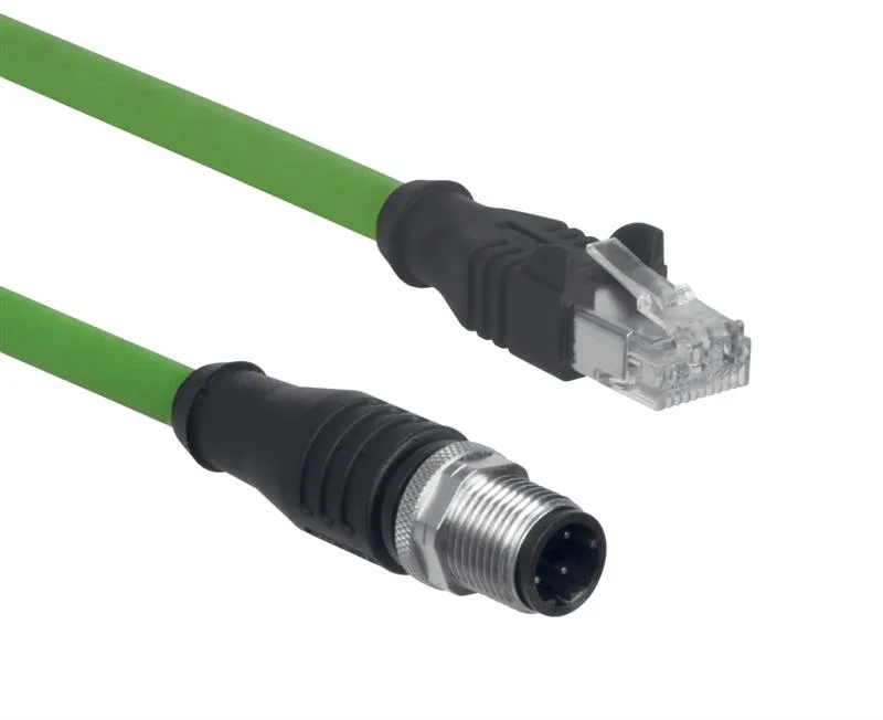 Schmersal AIE-S4P-M12/RJ45-S-G-20M-GN-2-X-D-1