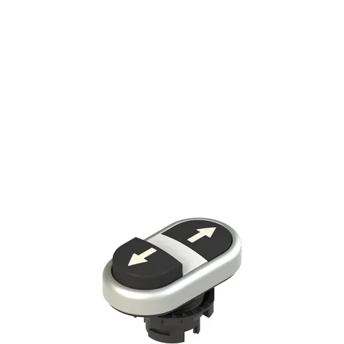 Pizzato E2 1PDSL9AAAB Double lower projecting pushbutton, with marking