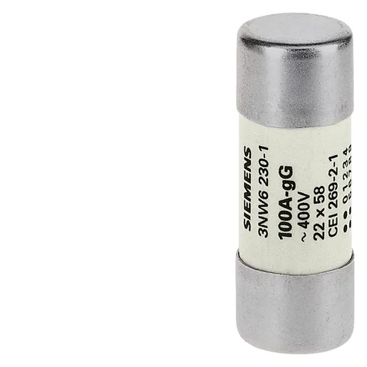Siemens 3NW6205-1