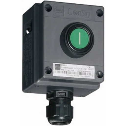 Stahl Schaltgeräte 8040/1180X-01L50SA05