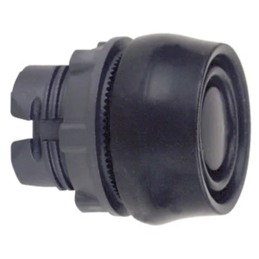 Schneider Electric ZB5AP2S