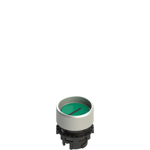 Pizzato E2 1PL2P429L2 Illuminated green booted pushbutton with marking