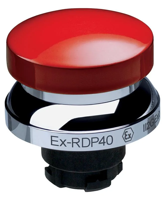 Schmersal EX-RDP40RT