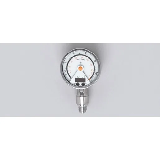 Ifm Electronic PG-010-REB12-MFRKG/US/      /P