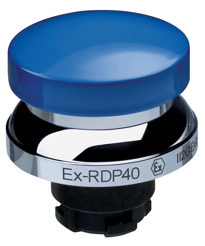 Schmersal EX-RDP40BL