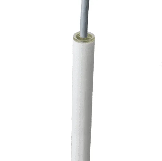 Rechner Sensors KFI-1-1000-870-PTFE-D16-IL20-ETW-Z02 Capacitive Level Measurement Systems (KFI / KFS / KFA / KFX)