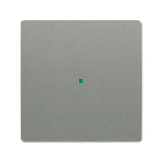 Busch-Jaeger 6230-10-803