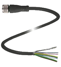 Pepperl+Fuchs V19-G-BK2M-PVC-U/ABG-Y282836 Female cordset, M12, 8-pin, shielded, PVC cable