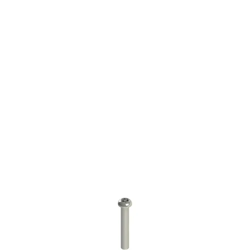 Pizzato VF VAM5X25BX-X Stainless steel security screws
