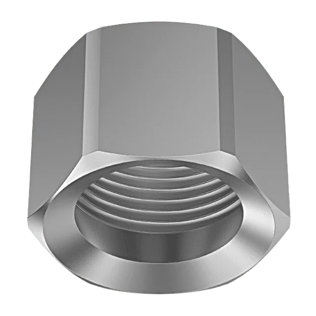 Lechler Accessories for nozzle series 676 | 0920201600021 Accessories