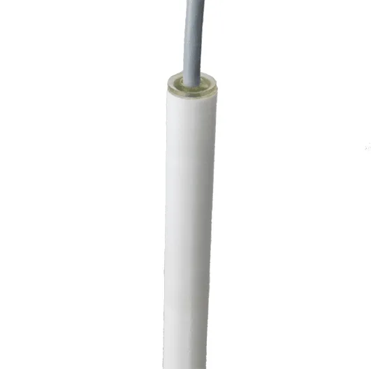 Rechner Sensors KFI-52-2000-1870-PTFE-D16-S-ETW-Z02 Capacitive Level Measurement Systems (KFI / KFS / KFA / KFX)