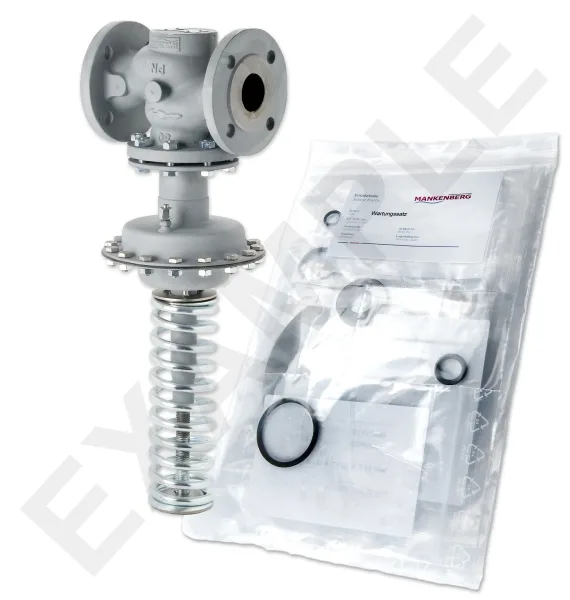 Mankenberg 65451669A-E   WS Maintenance Kit WS/DM603-65-FA13-40-D060-50-CS-YE-N |