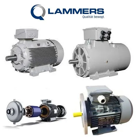 Lammers 1TZ9502-2CD2 Squirrel Cage Motor