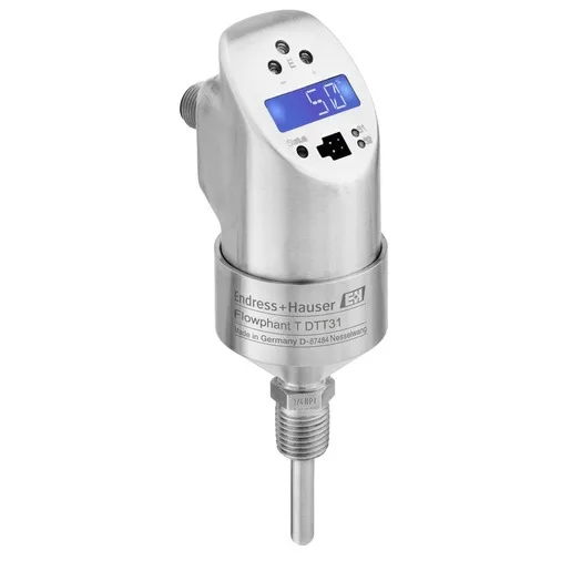 Endress + Hauser DTT31-A1B111AE2CAA