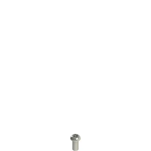 Pizzato VF VAM5X10BX-X Stainless steel security screws