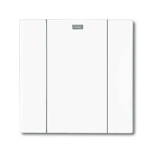 Busch-Jaeger 6125-84-101